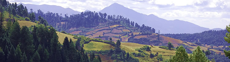 Michoacan